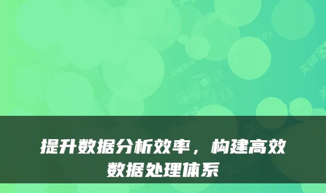 提升数据分析效率，构建高效数据处理体系